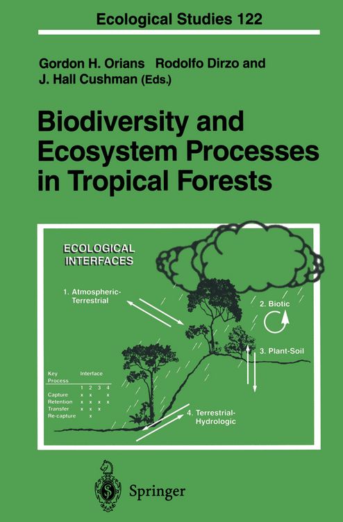 Produktbild: Biodiversity and Ecosystem Processes in Tropical Forests