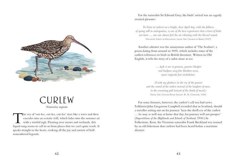 Produktbild: Britain's Birds