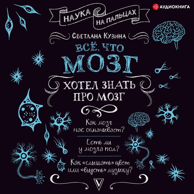 Produktbild: Everything the brain wanted to know about the brain