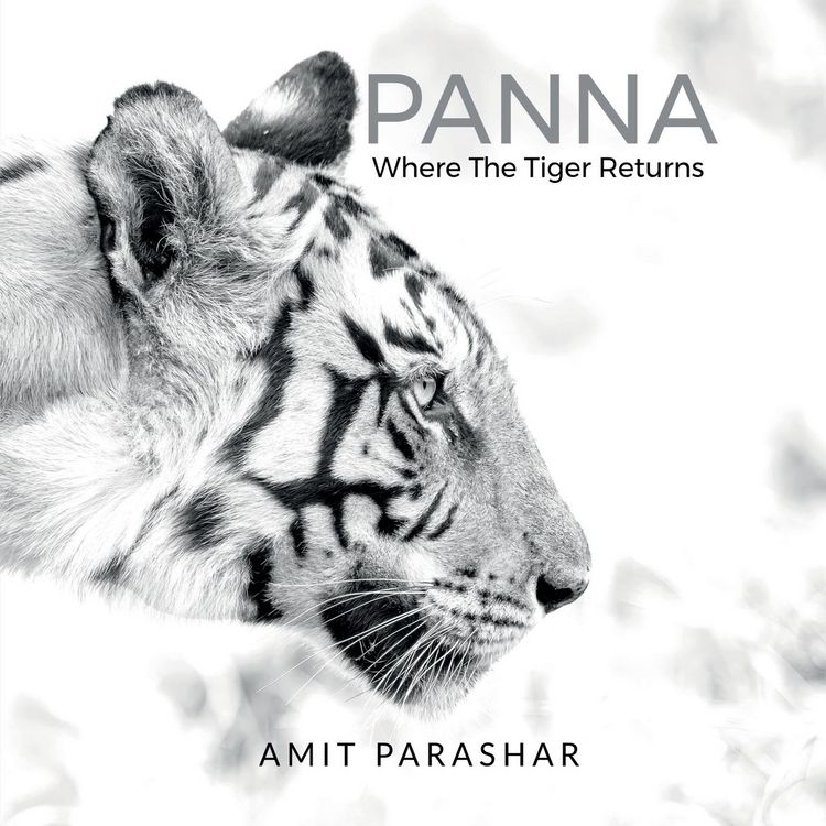 Produktbild: Panna