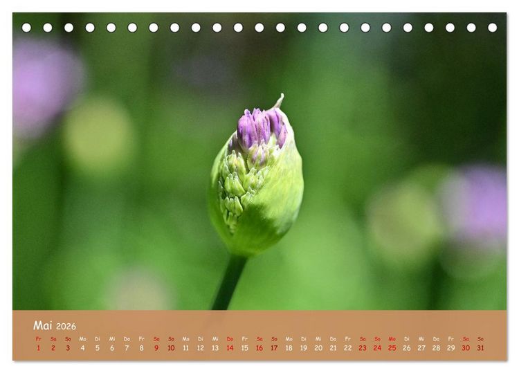 Produktbild: Der Zauber steckt immer im Detail (Tischkalender 2026 DIN A5 quer), CALVENDO Monatskalender