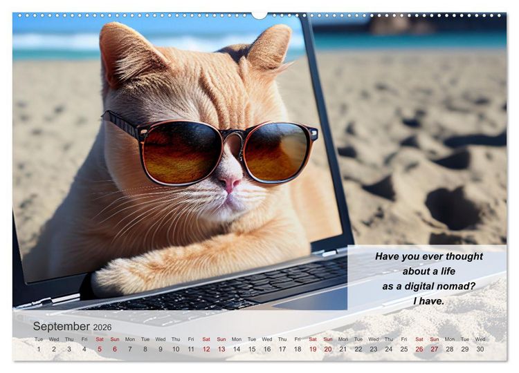 Produktbild: The humoristic cat guide (Wall Calendar 2026 DIN A2 landscape), CALVENDO 12 Month Wall Calendar