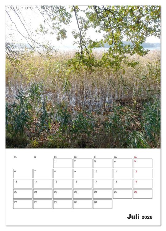 Produktbild: Rheinsberg mit Hafendorf (Wandkalender 2026 DIN A3 hoch), CALVENDO Monatskalender