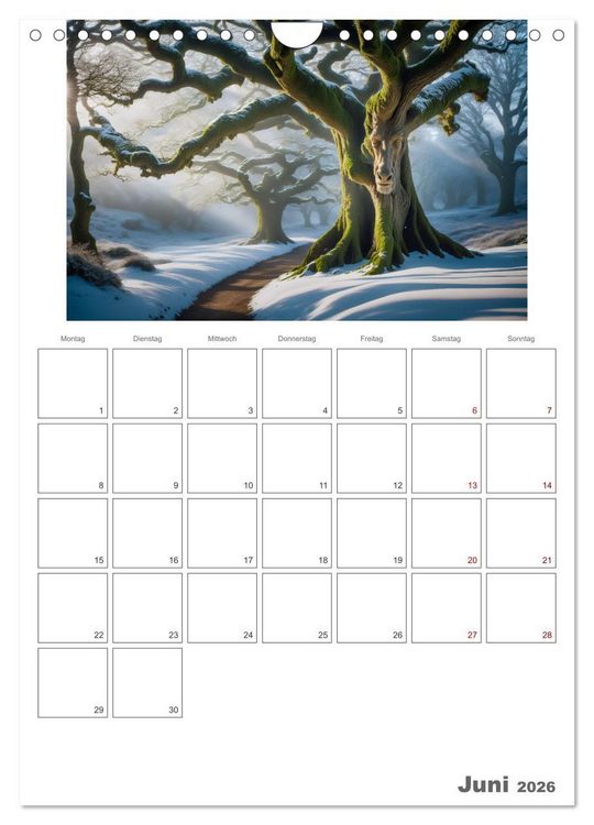 Produktbild: Der Zauberwald Eine geheimnisvolle Reise (Wandkalender 2026 DIN A4 hoch), CALVENDO Monatskalender
