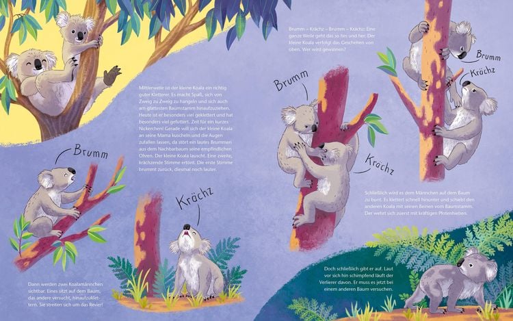 Produktbild: Der kleine Koala - Zu Hause im Eukalyptus