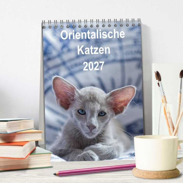 Produktbild: Orientalische Katzen 2027 (Tischkalender 2027 DIN A5 hoch), CALVENDO Monatskalender