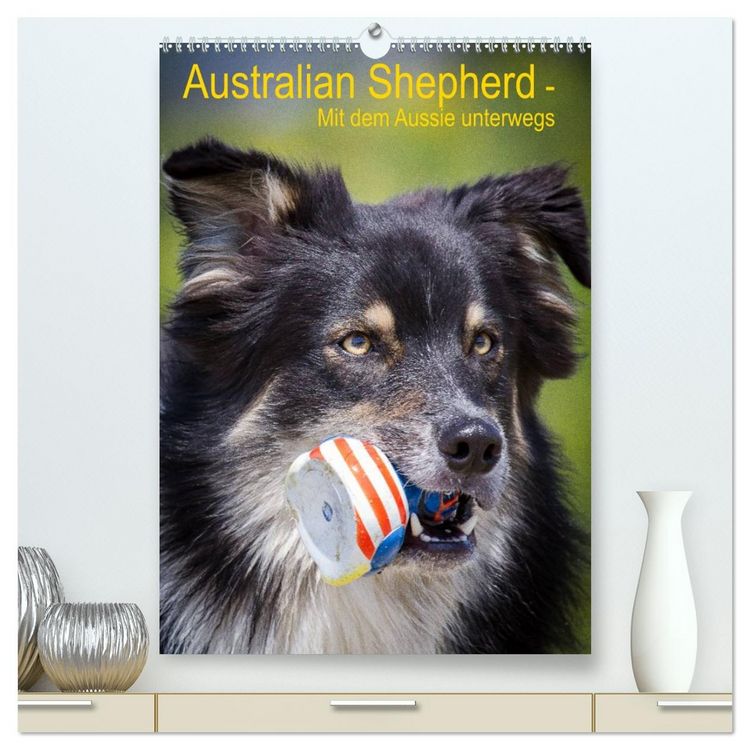 Produktbild: Australian Shepherd &ndash; Mit dem Aussie unterwegs (hochwertiger Premium Wandkalender 2026 DIN A2 hoch), Kunstdruck in Hochglanz