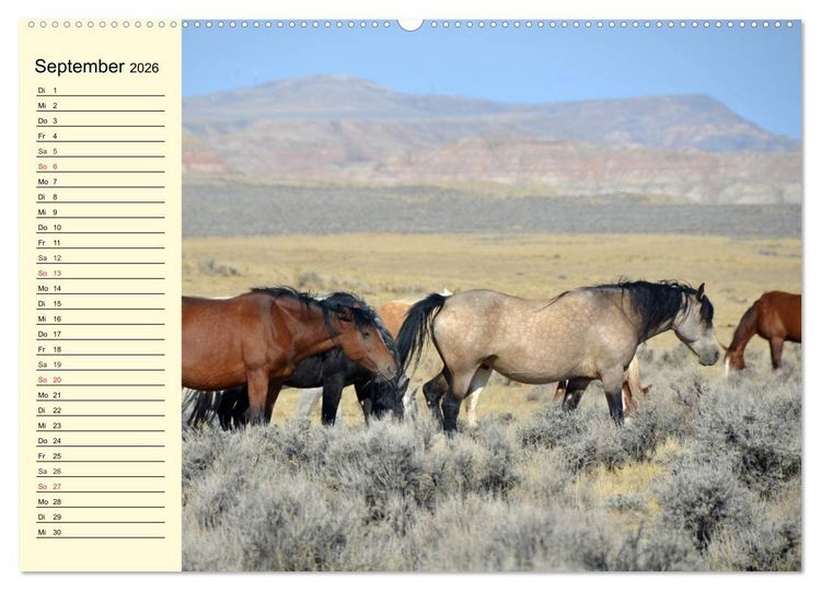 Produktbild: Wilde Pferde. Mustangs in USA (Wandkalender 2026 DIN A2 quer), CALVENDO Monatskalender