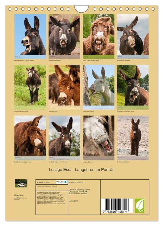 Produktbild: Lustige Esel - Langohren im Portr&auml;t (Wandkalender 2026 DIN A4 hoch), CALVENDO Monatskalender