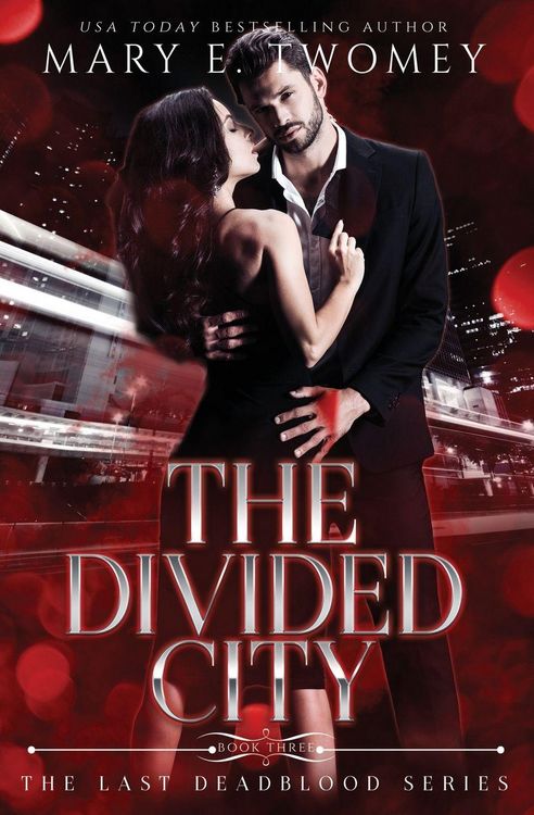 Produktbild: The Divided City