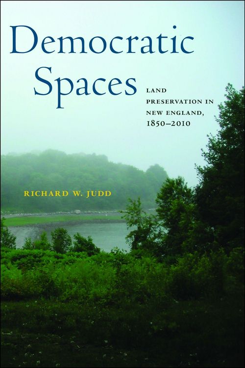 Produktbild: Democratic Spaces