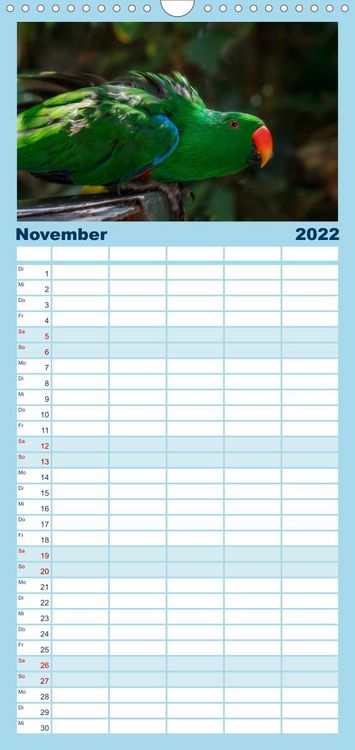 Produktbild: Papageien - Frech, sch&ouml;n und schlau - Familienplaner hoch (Wandkalender 2022 , 21 cm x 45 cm, hoch)