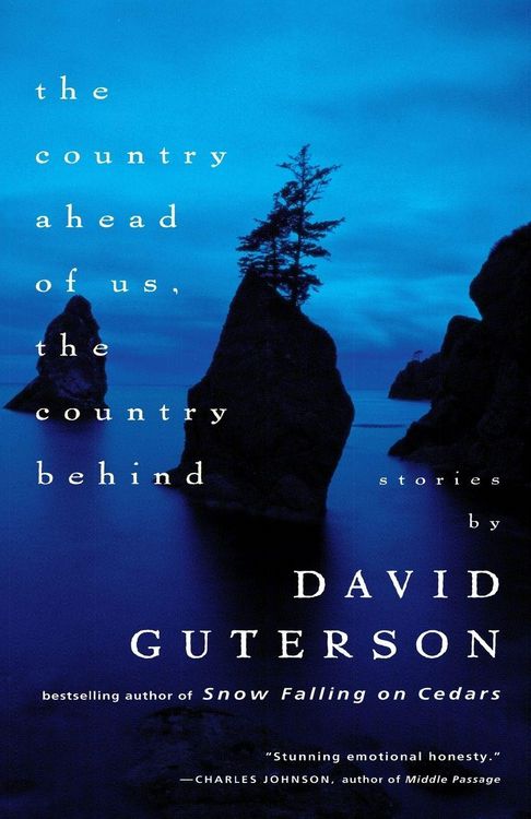 Produktbild: The Country Ahead of Us, the Country Behind