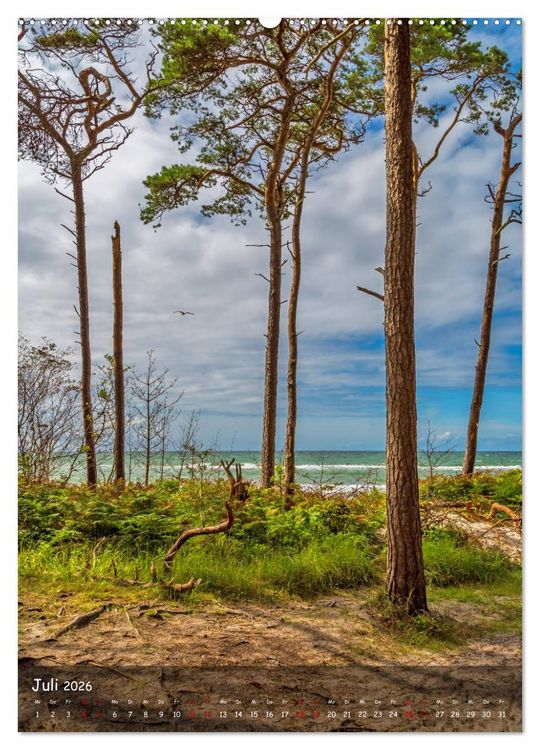 Produktbild: Wunderbare Ostseelandschaft Fischland-Dar&szlig;-Zingst (Wandkalender 2026 DIN A2 hoch), CALVENDO Monatskalender
