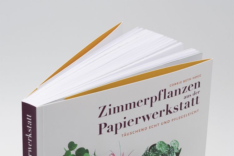 Produktbild: Zimmerpflanzen aus der Papierwerkstatt