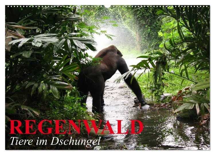 Produktbild: Regenwald &bull; Tiere im Dschungel (Wandkalender 2026 DIN A2 quer), CALVENDO Monatskalender