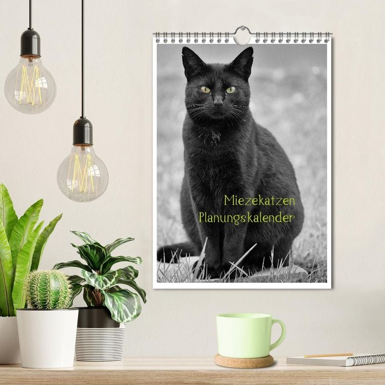 Produktbild: Miezekatzen Planungskalender (Wandkalender 2026 DIN A4 hoch), CALVENDO Monatskalender