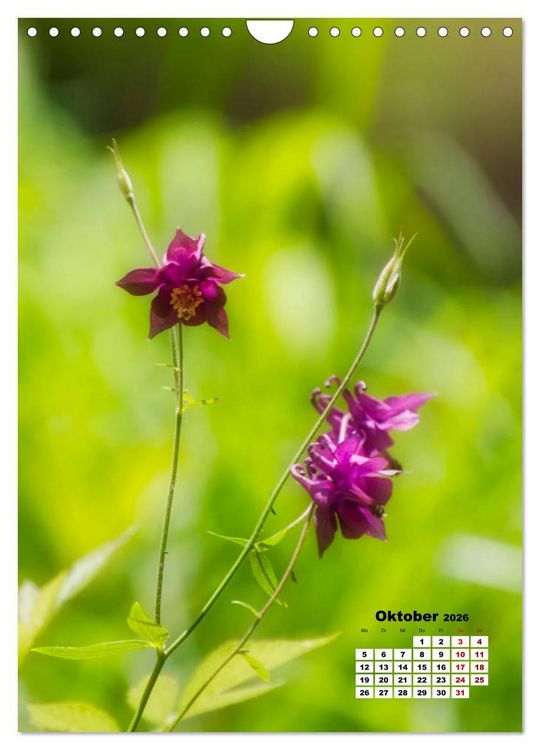 Produktbild: Spa&szlig; mit bunten Bl&uuml;mchen (Wandkalender 2026 DIN A4 hoch), CALVENDO Monatskalender