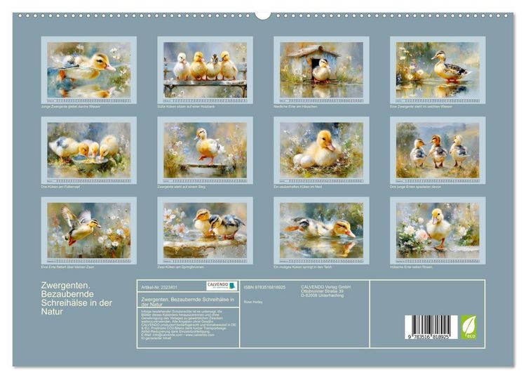 Produktbild: Zwergenten. Bezaubernde Schreih&auml;lse in der Natur (hochwertiger Premium Wandkalender 2027 DIN A2 quer), Kunstdruck in Hochglanz