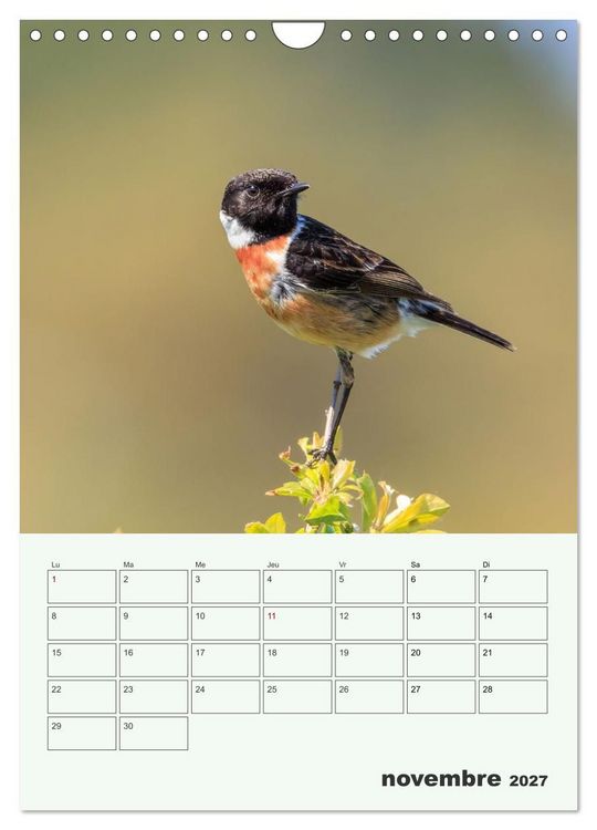 Produktbild: Voyage ornithologique (Calendrier mural 2027 DIN A4 horizontal), CALVENDO calendrier mensuel