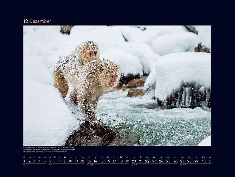 Produktbild: Japan - KUNTH Wandkalender 2027