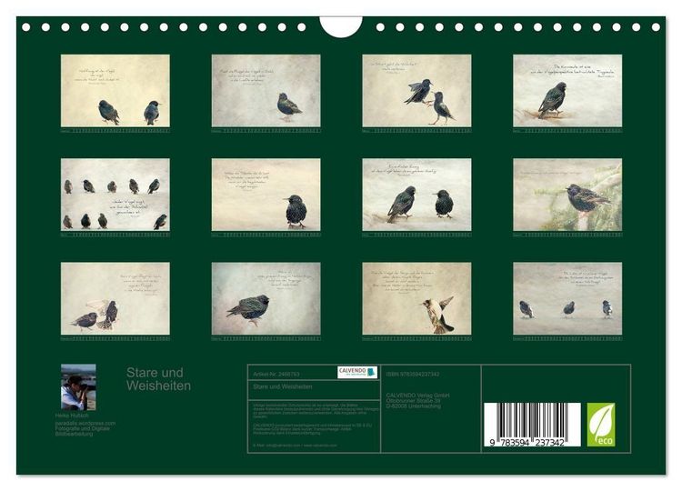Produktbild: Stare und Weisheiten (Wandkalender 2027 DIN A4 quer), CALVENDO Monatskalender