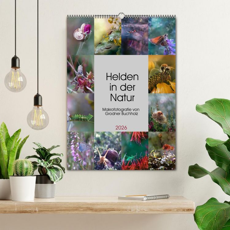 Produktbild: Helden in der Natur (Wandkalender 2026 DIN A2 hoch), CALVENDO Monatskalender