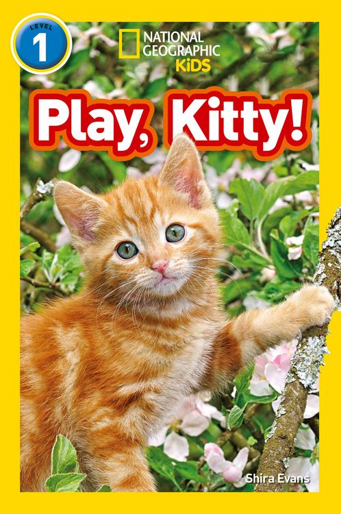 Produktbild: National Geographic Kids: Play, Kitty!