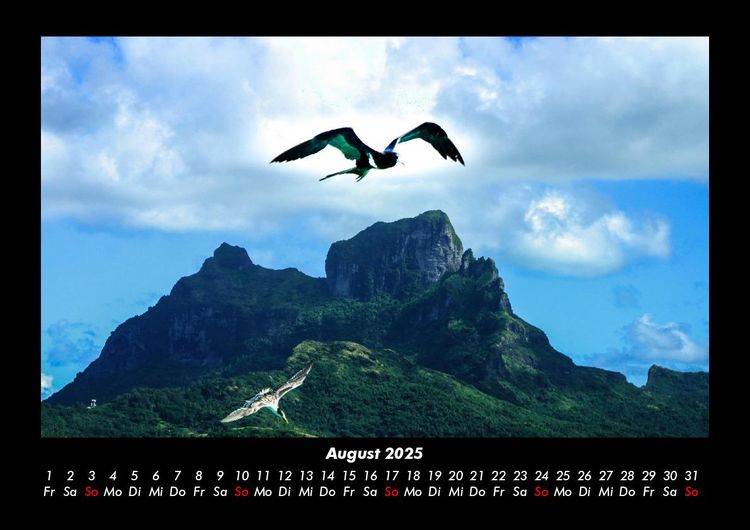 Produktbild: M&ouml;wen 2025 Fotokalender DIN A3