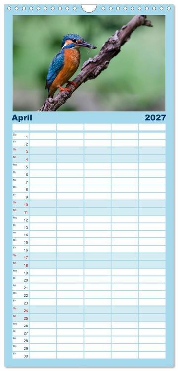 Produktbild: Familienplaner 2027 - Alcedo atthis. Der Eisvogel mit 5 Spalten (Wandkalender, 21 x 45 cm) CALVENDO