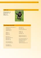 Produktbild: Hundeschule