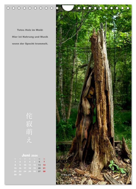 Produktbild: wabi sabi moe &mdash; bewundernswert verg&auml;nglich erotisch &mdash; Akt/Bodypainting (Wandkalender 2026 DIN A4 hoch), CALVENDO Monatskalender