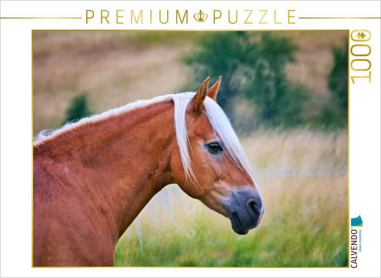 Produktbild: CALVENDO Puzzle Ein Motiv aus dem Kalender Familienfreundliche Pferde | 1000 Teile Lege-Gr&ouml;&szlig;e 64x48cm Foto-Puzzle f&uuml;r gl&uuml;ckliche Stunden
