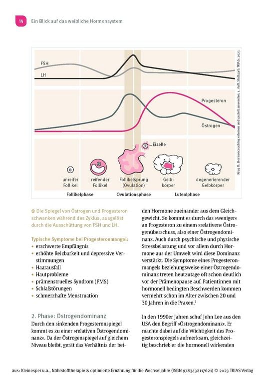Nährstofftherapie & optimierte Ernährung für die Wechseljahre