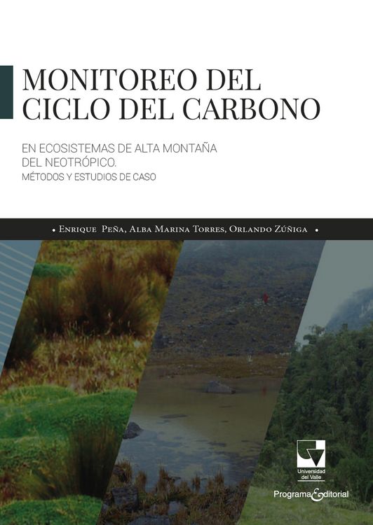 Produktbild: Monitoreo del ciclo del carbono en Ecosistemas de alta monta&ntilde;a del neotr&oacute;pico