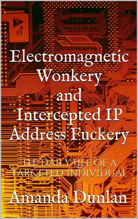 Produktbild: Electromagnetic Wonkery and Intercepted IP Address Fuckery