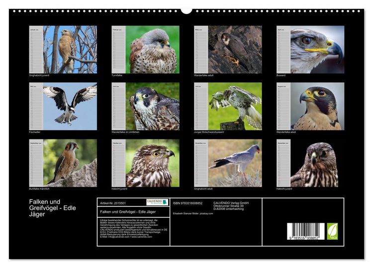 Produktbild: Falken und Greifv&ouml;gel - Edle J&auml;ger (hochwertiger Premium Wandkalender 2026 DIN A2 quer), Kunstdruck in Hochglanz