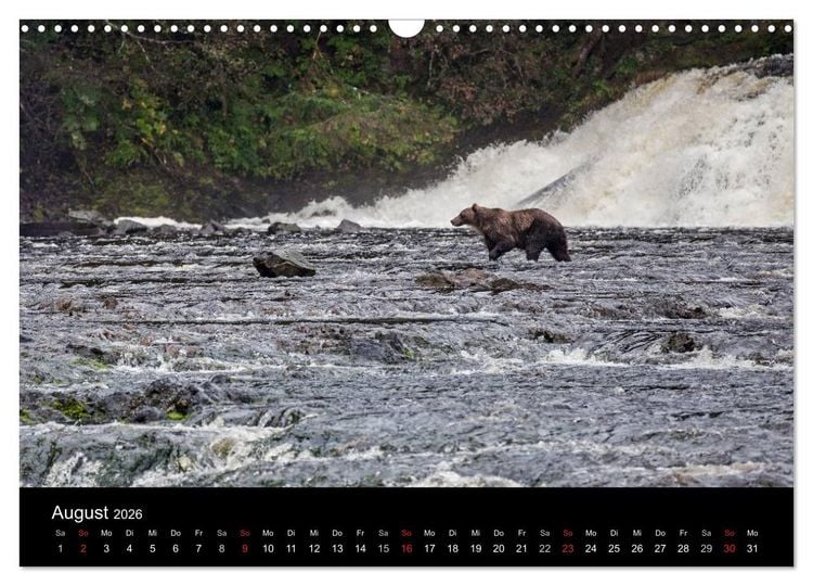 Produktbild: FASZINATION ALASKA Expedition durch die Inside Passage (Wandkalender 2026 DIN A3 quer), CALVENDO Monatskalender