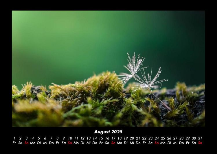 Produktbild: Bilder aus der Natur 2025 Fotokalender DIN A3