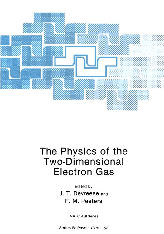 Produktbild: The Physics of the Two-Dimensional Electron Gas