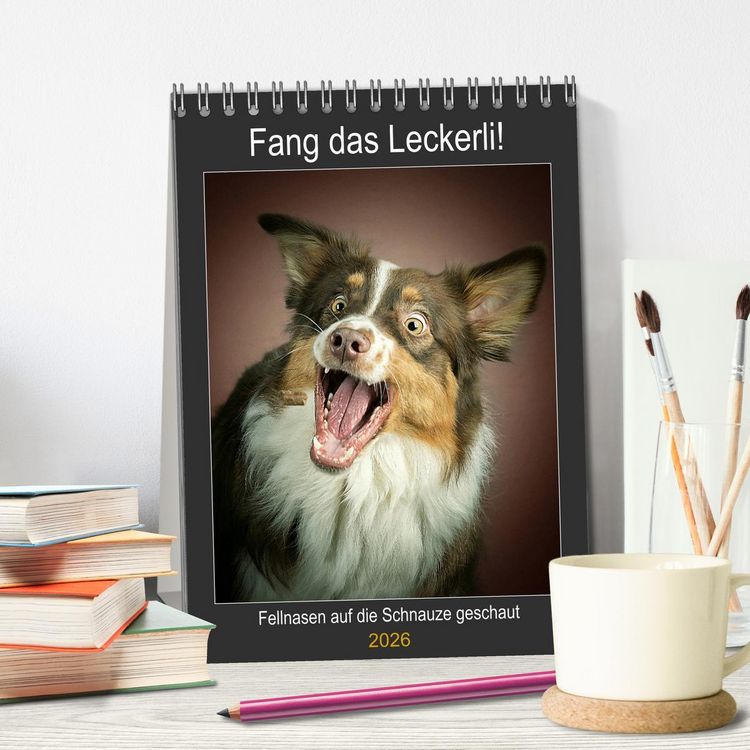 Produktbild: Fang das Leckerli (Tischkalender 2026 DIN A5 hoch), CALVENDO Monatskalender