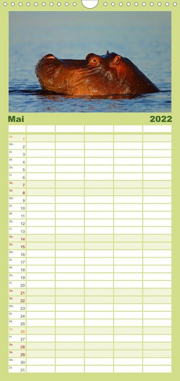 Produktbild: Flusspferde Magie des Augenblicks - Hippos in Afrika - Familienplaner hoch (Wandkalender 2022 , 21 cm x 45 cm, hoch)