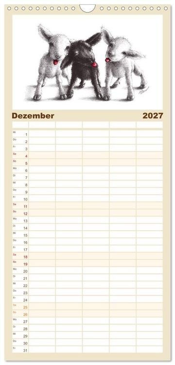 Produktbild: Familienplaner 2027 - owls & friends 2027 mit 5 Spalten (Wandkalender, 21 x 45 cm) CALVENDO