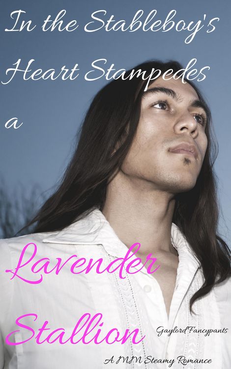 Produktbild: In the Stableboy's Heart Stampedes a Lavender Stallion: A MM Steamy Romance