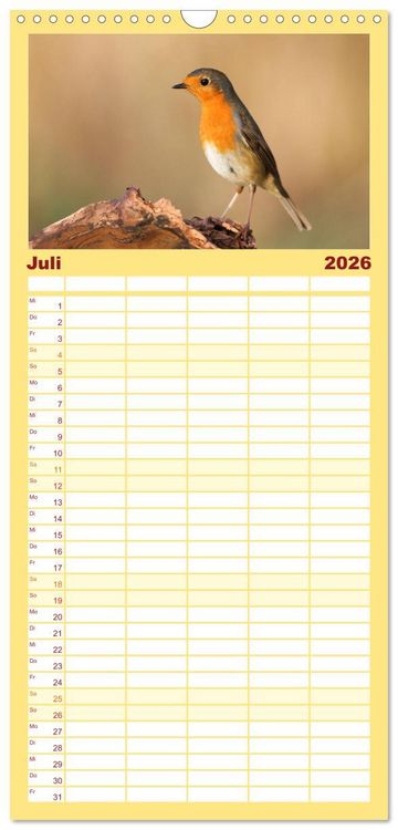 Produktbild: Familienplaner 2026 - Geliebtes Rotkehlchen mit 5 Spalten (Wandkalender, 21 x 45 cm) CALVENDO