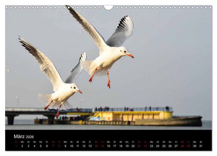 Produktbild: Polen - Reise durch unser sch&ouml;nes Nachbarland (Wandkalender 2026 DIN A3 quer), CALVENDO Monatskalender