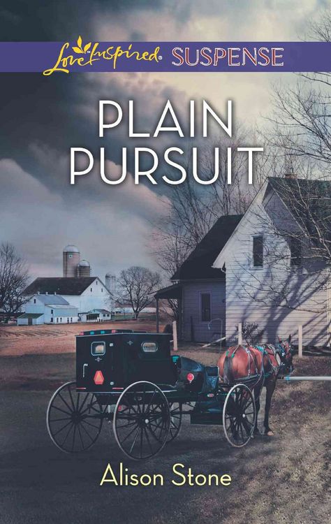 Produktbild: Plain Pursuit