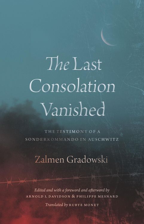 Produktbild: Last Consolation Vanished