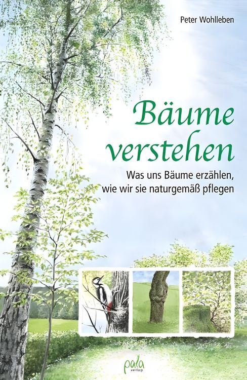 Produktbild: B&auml;ume verstehen