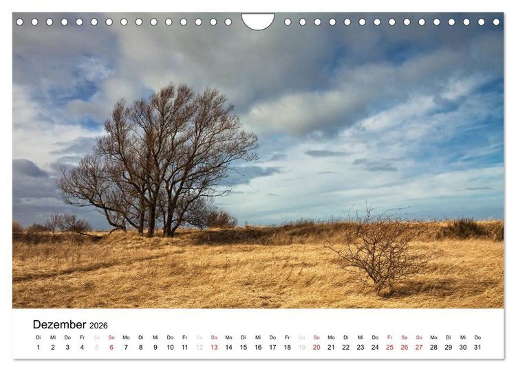 Produktbild: Landschaften (Wandkalender 2026 DIN A4 quer), CALVENDO Monatskalender